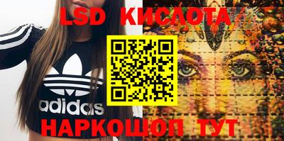 крисы Ирбит