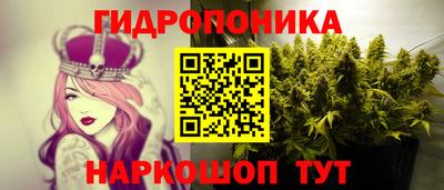 крисы Ирбит