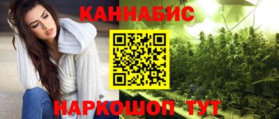 крисы Ирбит