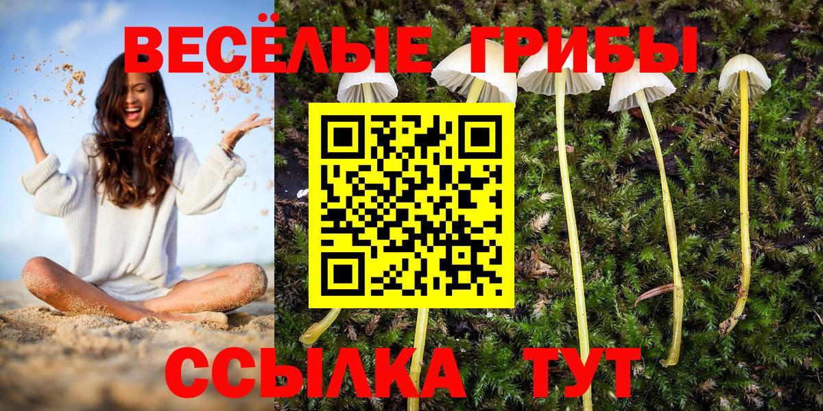 Псилоцибиновые грибы мицелий  наркота  Псилоцибиновые грибы прущие грибы  Кубинка  Вход с VPN 